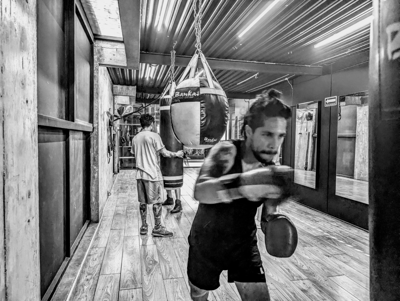 Costales del gimnasio